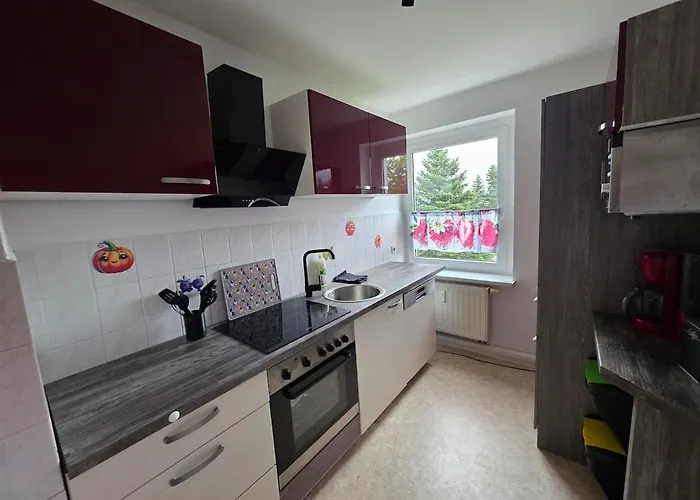 Apartamento Wagner Neustadt (Vogtlandkreis)